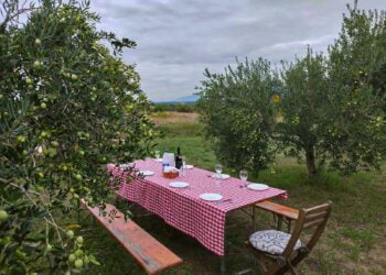 Agroturismo familia Butić, Zadar