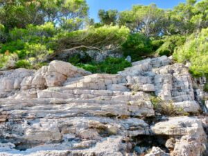 Jardines botánicos de la isla de Lokrum en Croacia