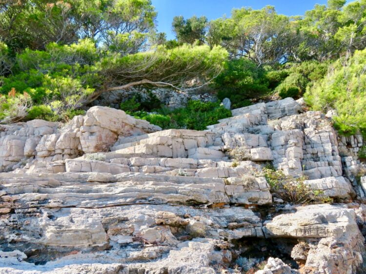 Jardines botánicos de la isla de Lokrum en Croacia