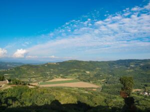 Vistas panorámicas desde las alturas de Motovun sobre el valle de Istria